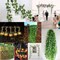 36 Strands 248FT Fake Ivy Garlands Leaves Artificial Vines Faux Green Hanging Plants for Bedroom Wall House Decor Outdoor Wedding Photography Backdrops, Non-discoloring